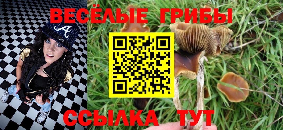 Кириши  Псилоцибиновые грибы ЛСД  Галлюциногенные грибы Cubensis  Вход с VPN 