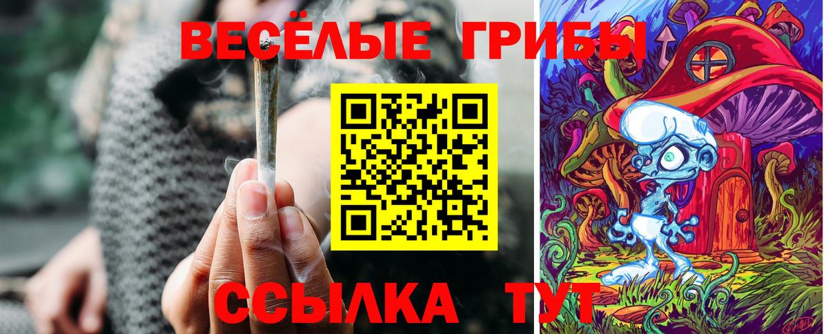 Псилоцибиновые грибы GOLDEN TEACHER Кириши